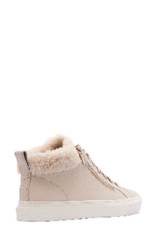 Frankie4 Miles Genuine Shearling Lined Sneaker