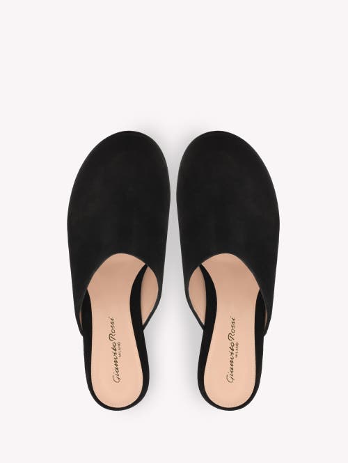 Shop Gianvito Rossi Lyss Clog In Black