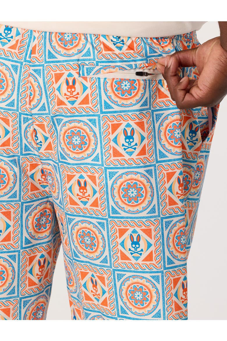 Big & Tall Frank Swim Trunks, Alternate, color, MULTI