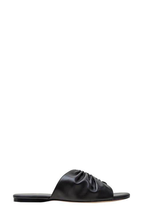 Linea Paolo Lane Toe Loop Sandal In Black
