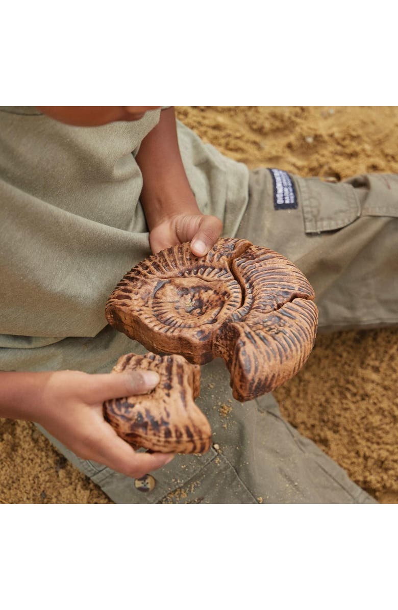 Kaplan Early Learning Company Magnetic Fossil 3D Puzzle - Ammonite - 6 Pieces, Alternate, color, Brown