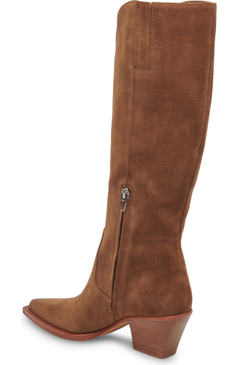 Dolce Vita Raj Pointed Toe Knee High Boot, Alternate, color, Brown Suede