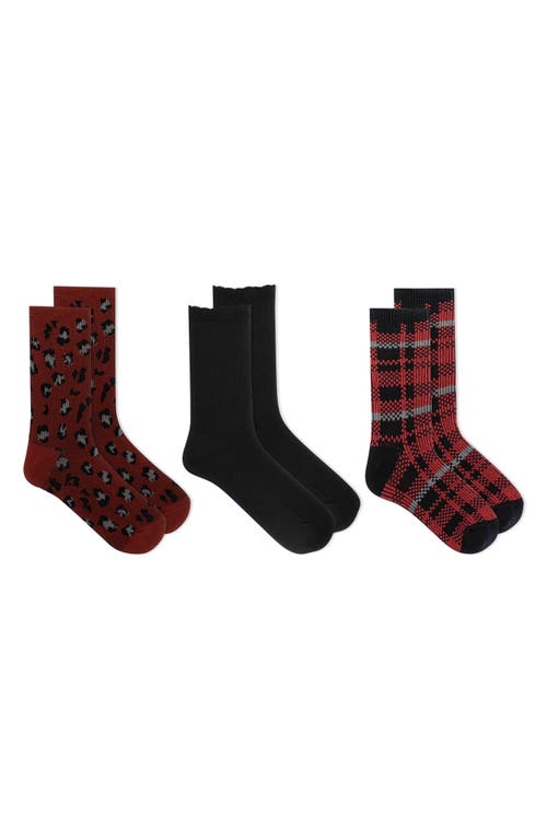 K Bell Socks 3-Pack Socks in Rdmul