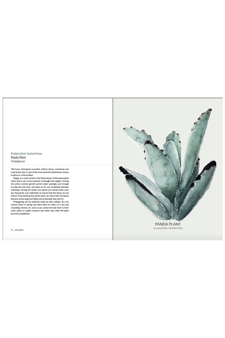 Urban Botanics Book, Alternate, color, GREEN