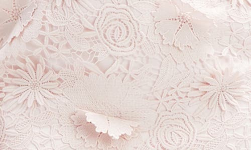 Bardot Adei Lace Minidress