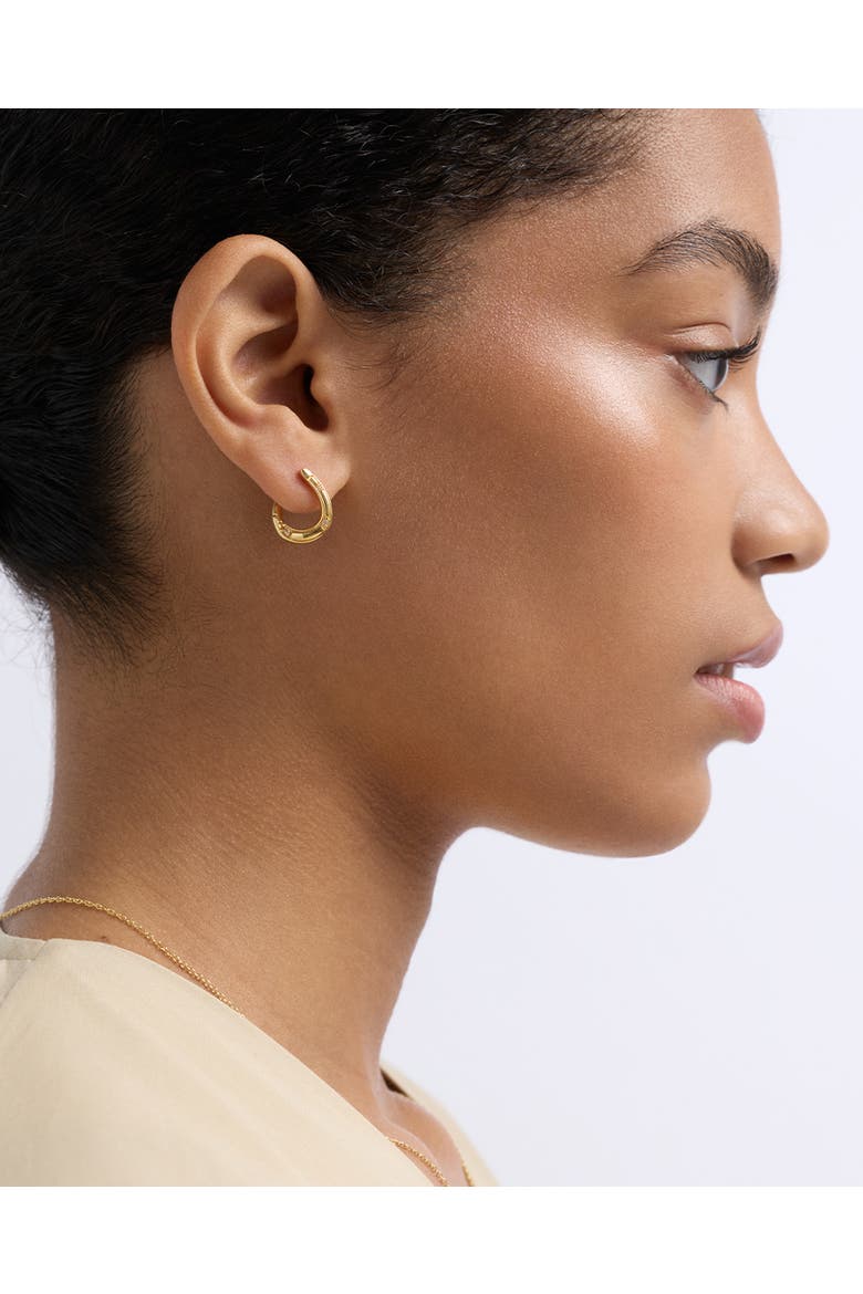 Gold Biography Horseshoe Twist Hoop Earrings, Alternate, color, Gold