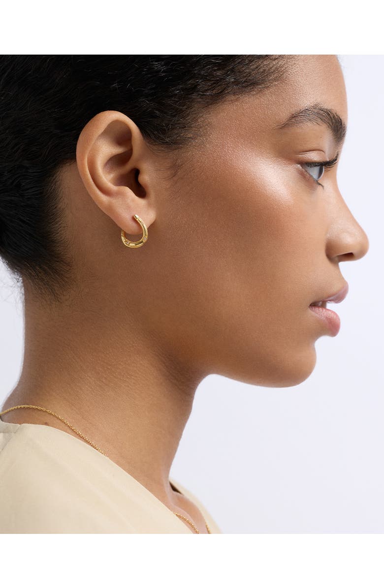 Astley Clarke Gold Biography Horseshoe Twist Hoop Earrings, Alternate, color, Gold