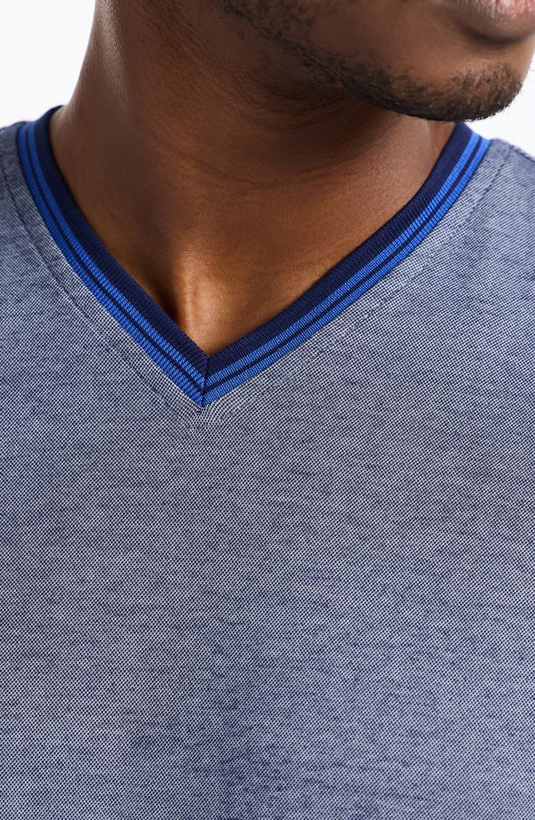 Robert Graham Holton V-Neck Cotton Blend Piqué T-Shirt, Alternate, color, Navy