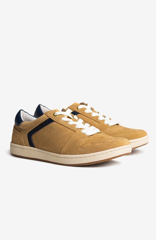 Freshy Kingpin Suede Sneaker In Multi