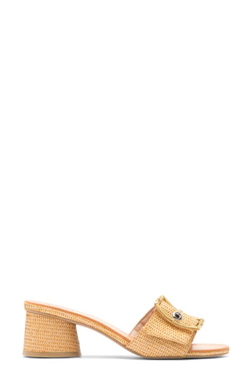 Dolce Vita Lucey Slide Sandal In Warm Natural Raffia