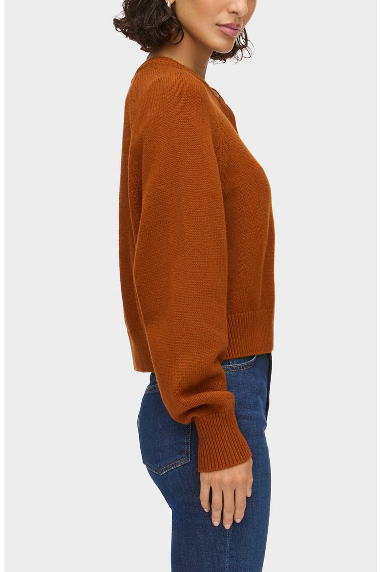 Tania Merino Wool & Cotton Cardigan, Alternate, color, COGNAC