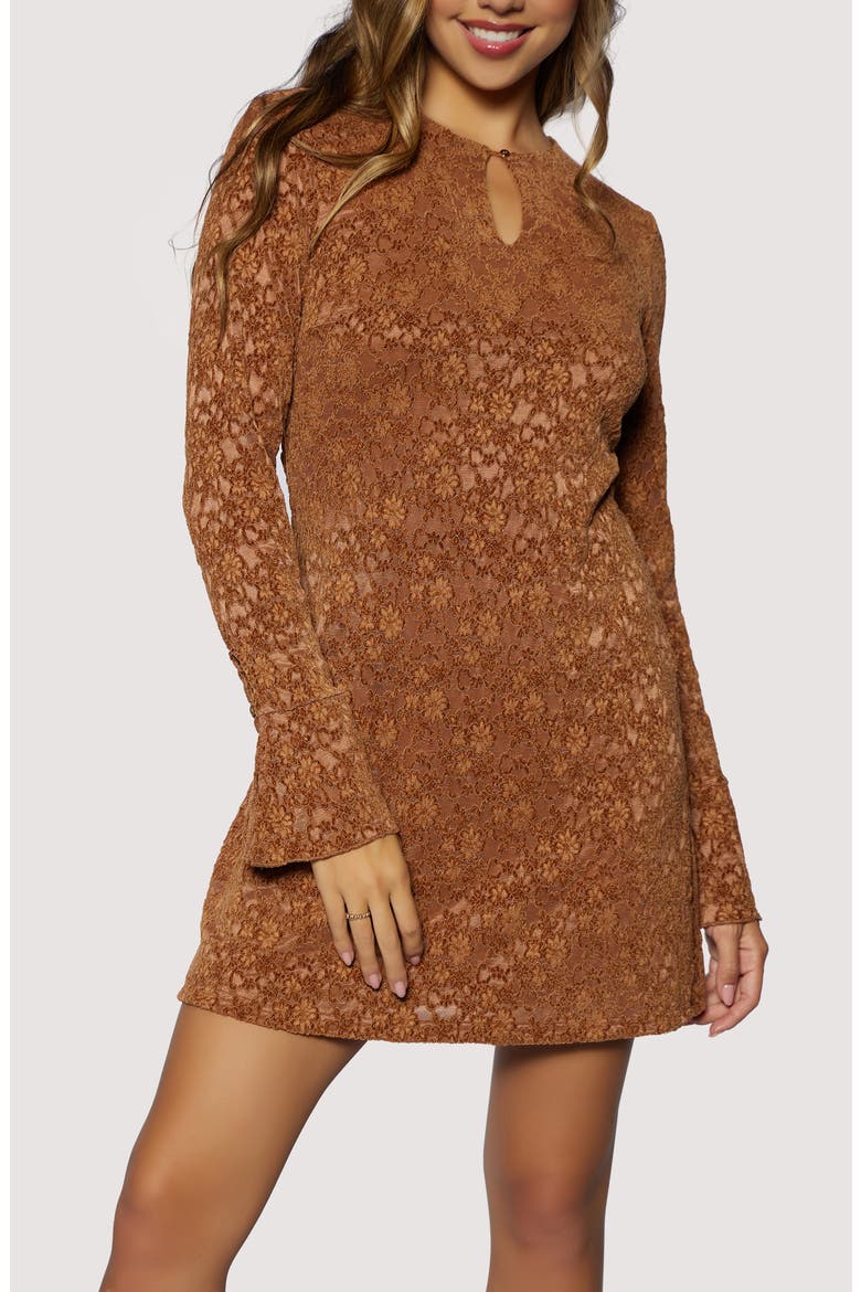 Venetian Grace Lace Long Sleeve Minidress, Alternate, color, COFFEE