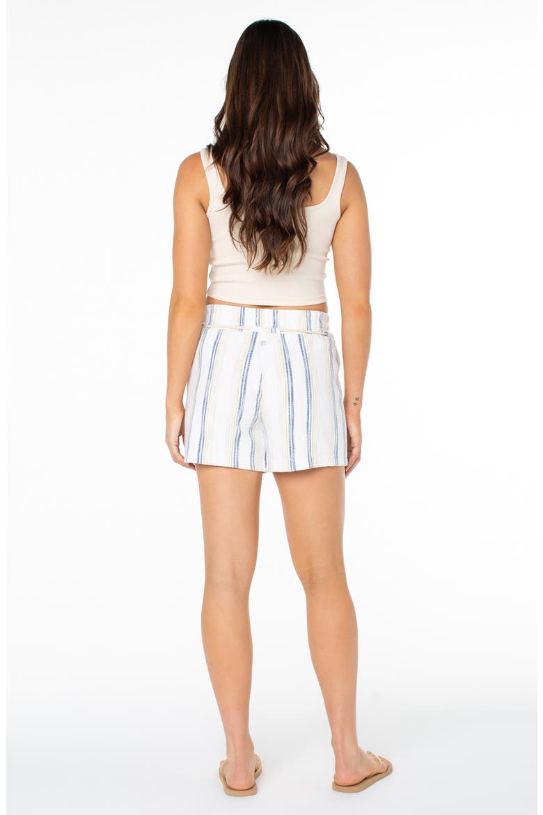 West Coast Stripe Cotton Blend Drawstring Shorts, Alternate, color, SURF WEB