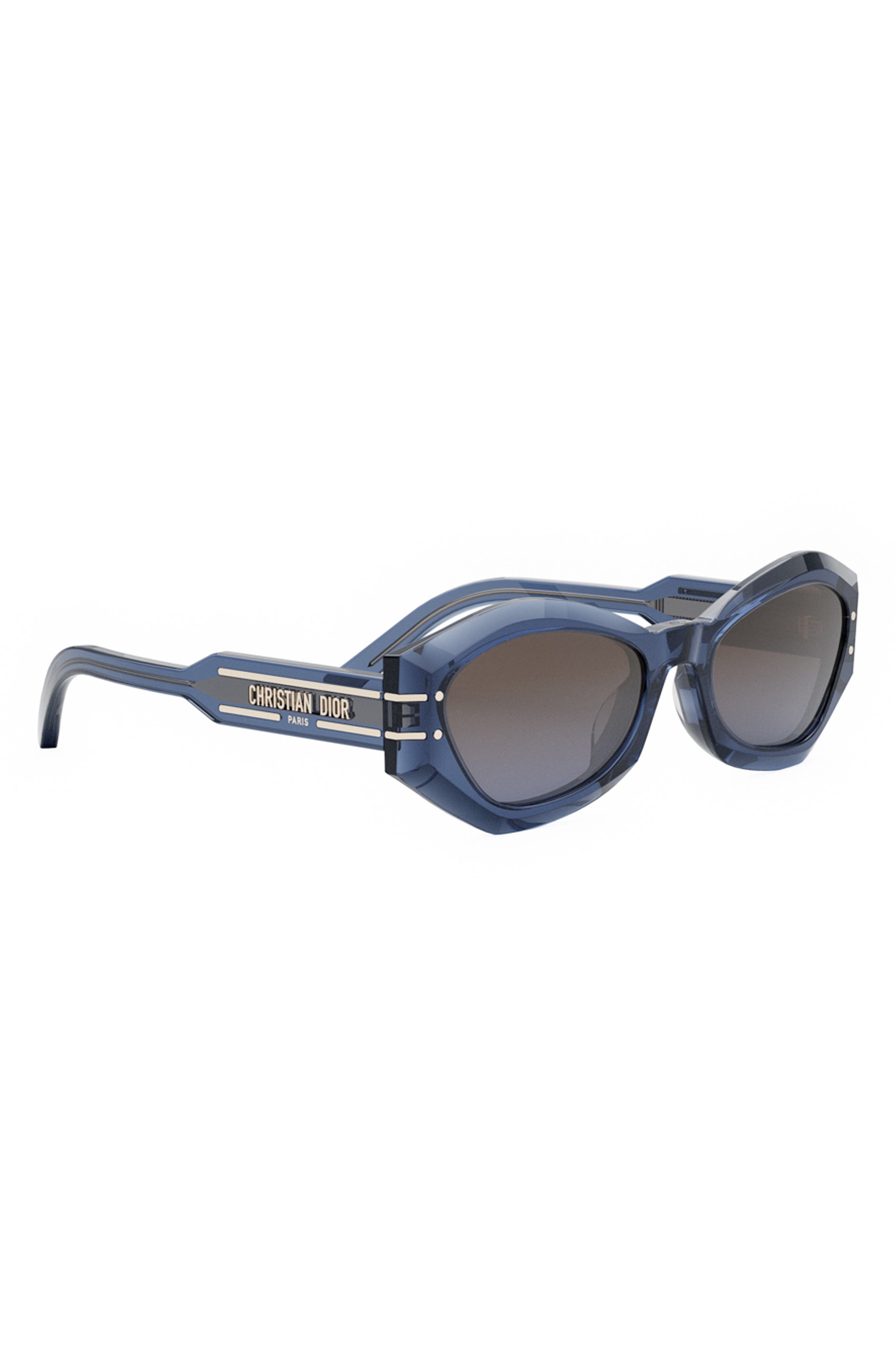 DIOR 'DiorSignature B1U 55mm Butterfly Sunglasses (Women) | Nordstrom