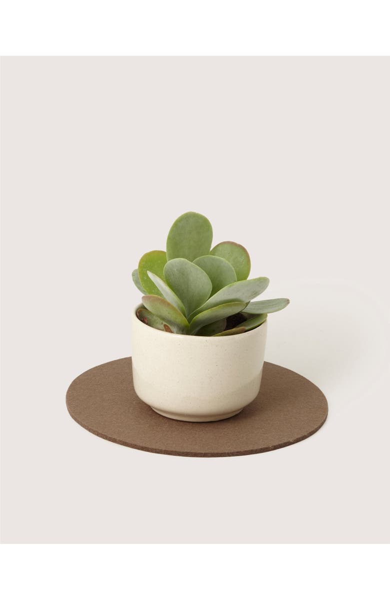 Graf Lantz Merino Wool 10" Round Trivet, Main, color, Cumin