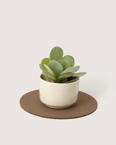 Merino Wool 10" Round Trivet