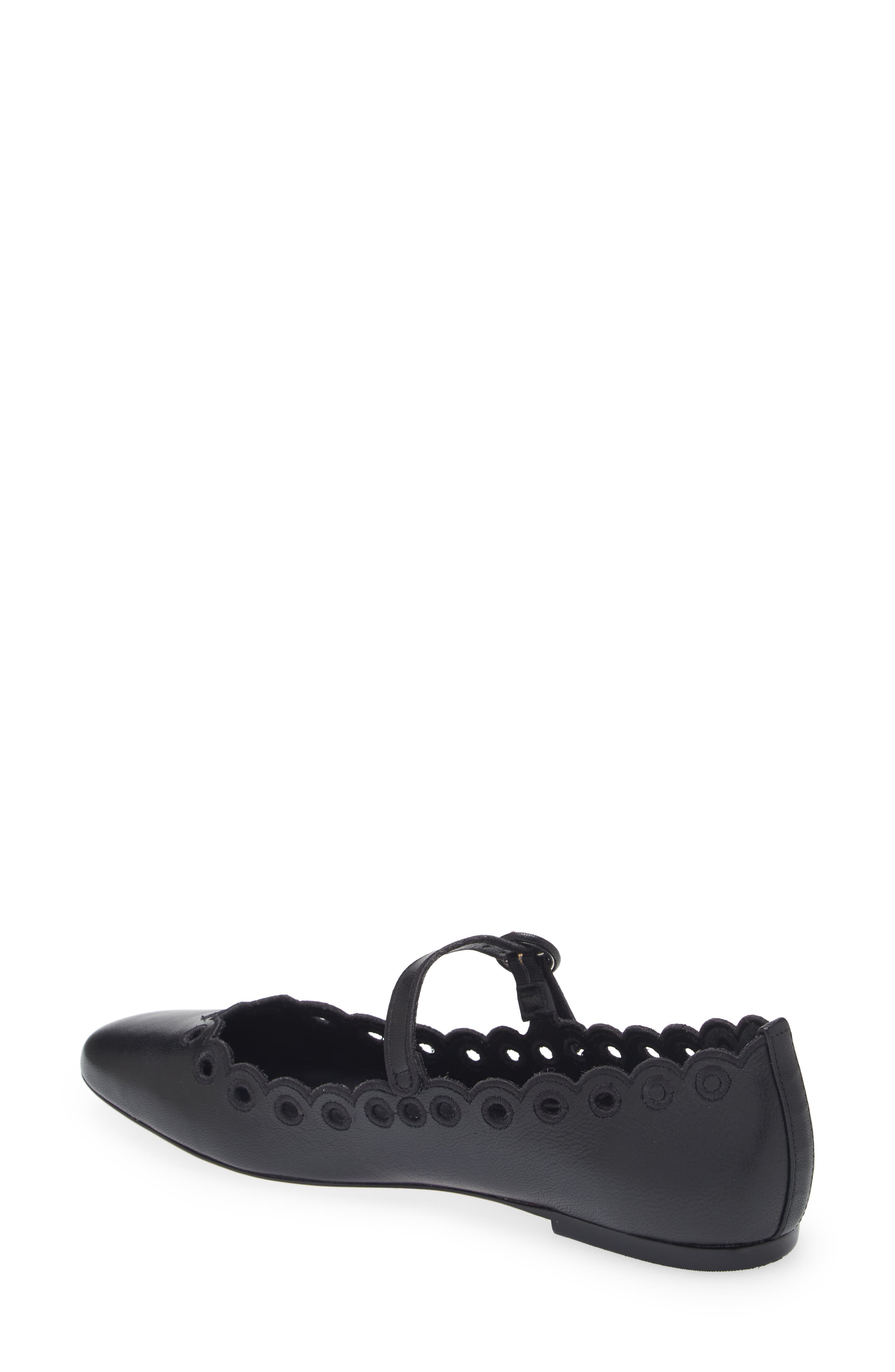 Larroudé Blair Broderie Mary Jane Flat, Alternate, color, 