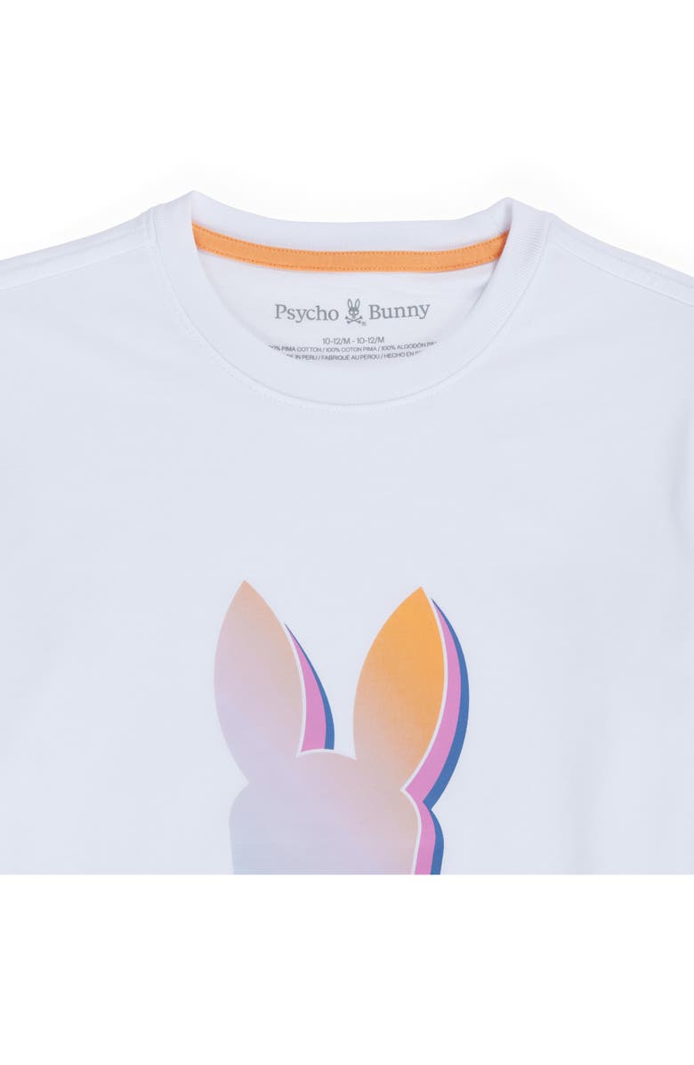 Psycho Bunny Kids' Palm Springs Cotton Graphic T-Shirt, Alternate, color, 
