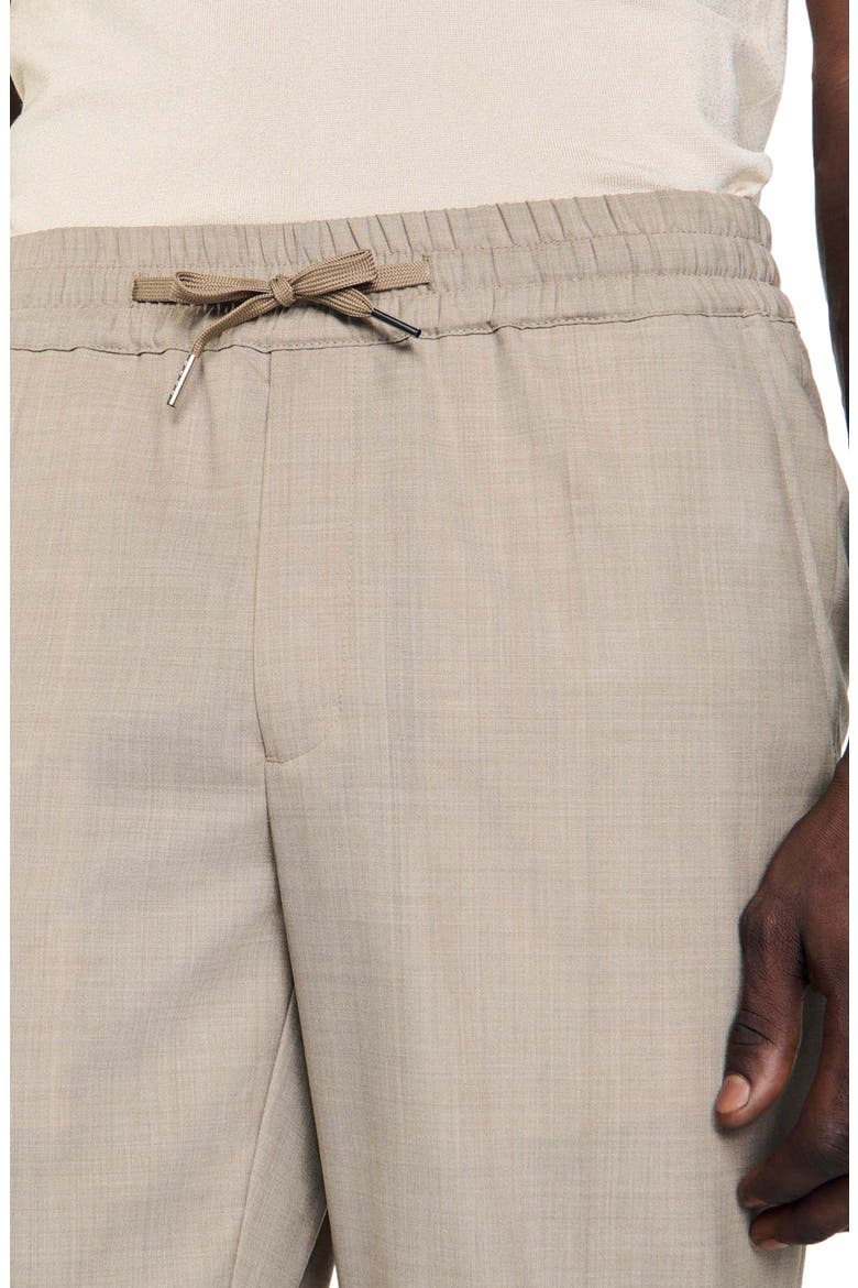 New Alpha Virgin Wool Pants, Alternate, color, TAUPE