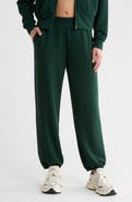 Z by Zella Cozy Whisper Joggers