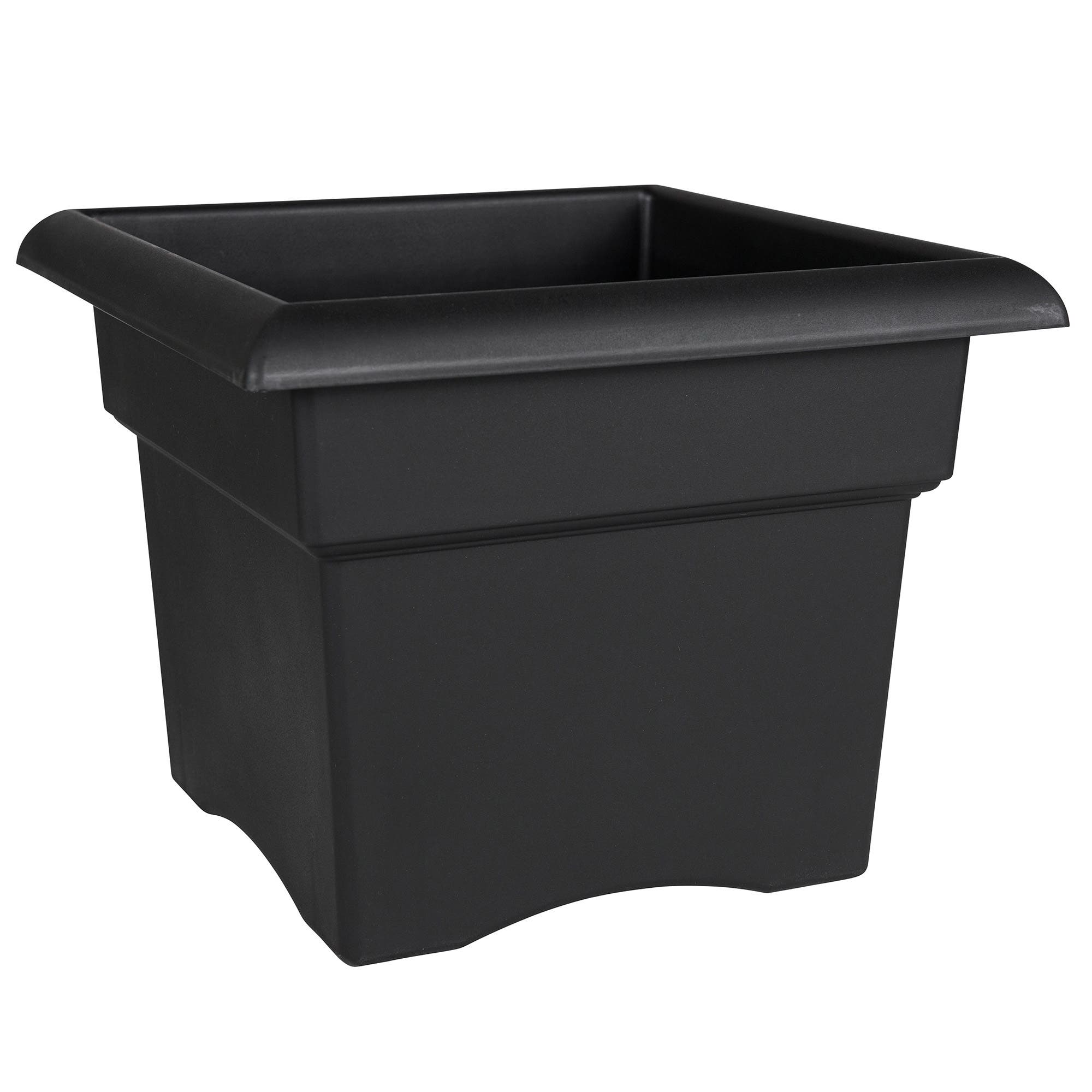 selected Black
