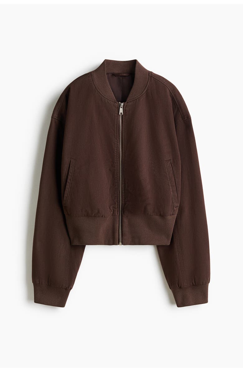 H&M Bomber Jacket, Alternate, color, Dark Brown