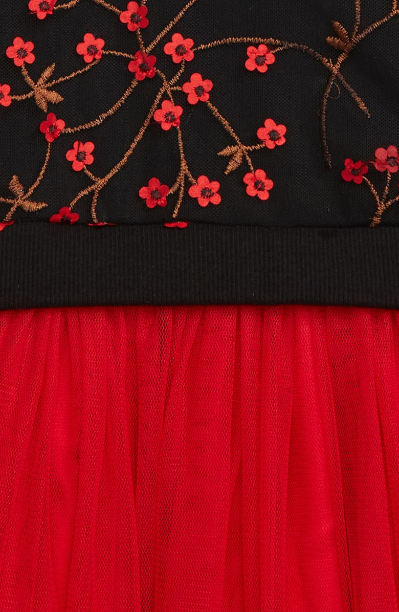 Popatu Floral Appliqué Long Sleeve Tulle Dress, Alternate, color, 