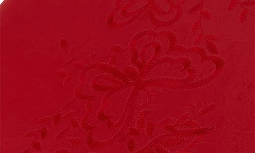 J&v Textiles J And V Textiles Embroidered Padded Soft Round Toilet Seat In Red