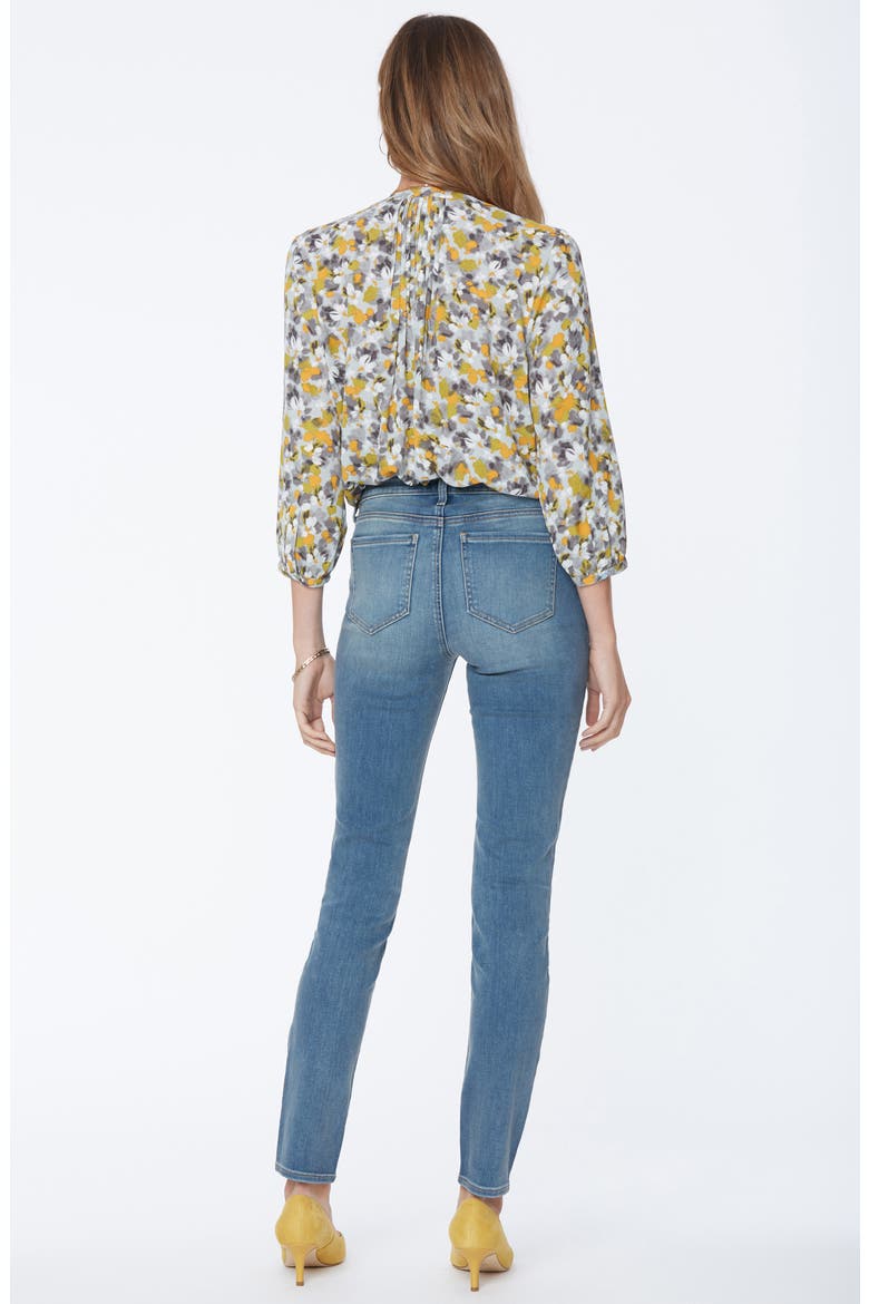 Alina Stretch Skinny Jeans, Alternate, color, CLAYBURN