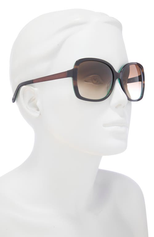 Kate Spade New York Darrilyn 58mm Butterfly Sunglasses In Brown Horn/brown Fuschia Ms