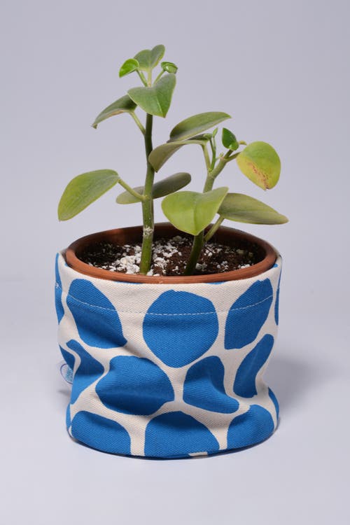 Dance Happy Large Circles Round Bin/canvas Planter In Azure