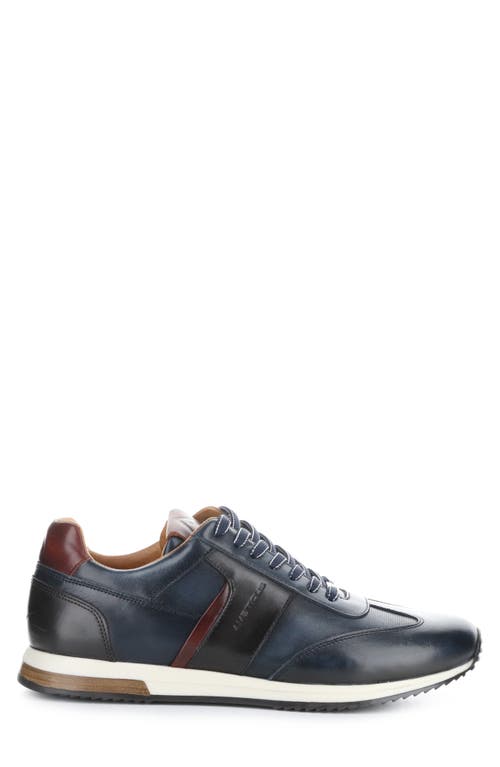 Ambitious 11721 Low Top Sneaker In Blue