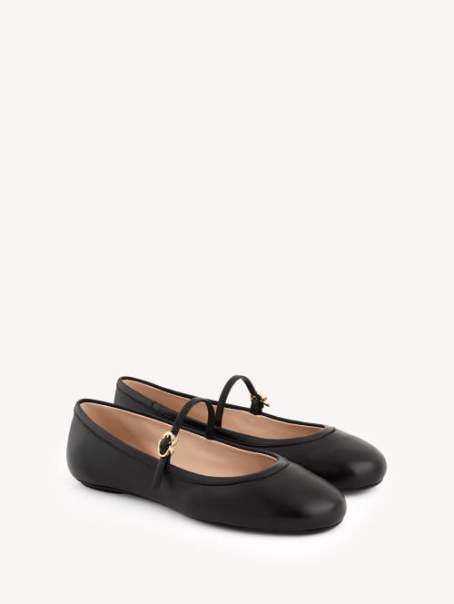 Shop Gianvito Rossi Carla Ballerina In Black