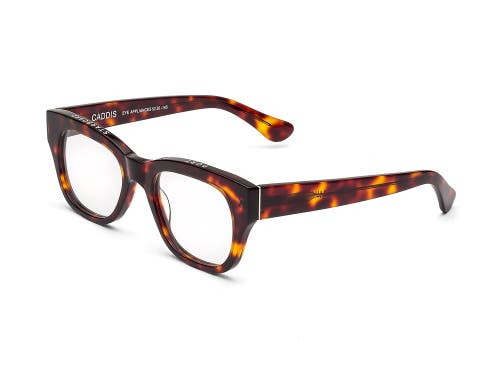 Caddis Miklos | Reading Glasses