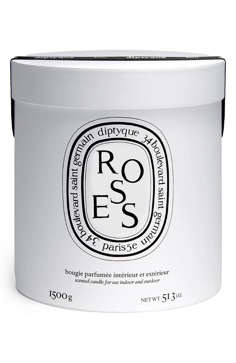 Diptyque Roses Very Large Scented Candle, Alternate, color, Pink Vessel