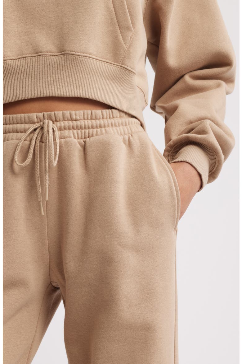 Baggy Wide Leg Sweatpants, Alternate, color, TAN SAVANNAH