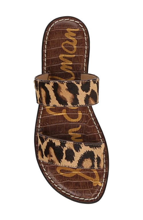 Shop Sam Edelman Gala Slide Sandal In Cyprus Tan Multi