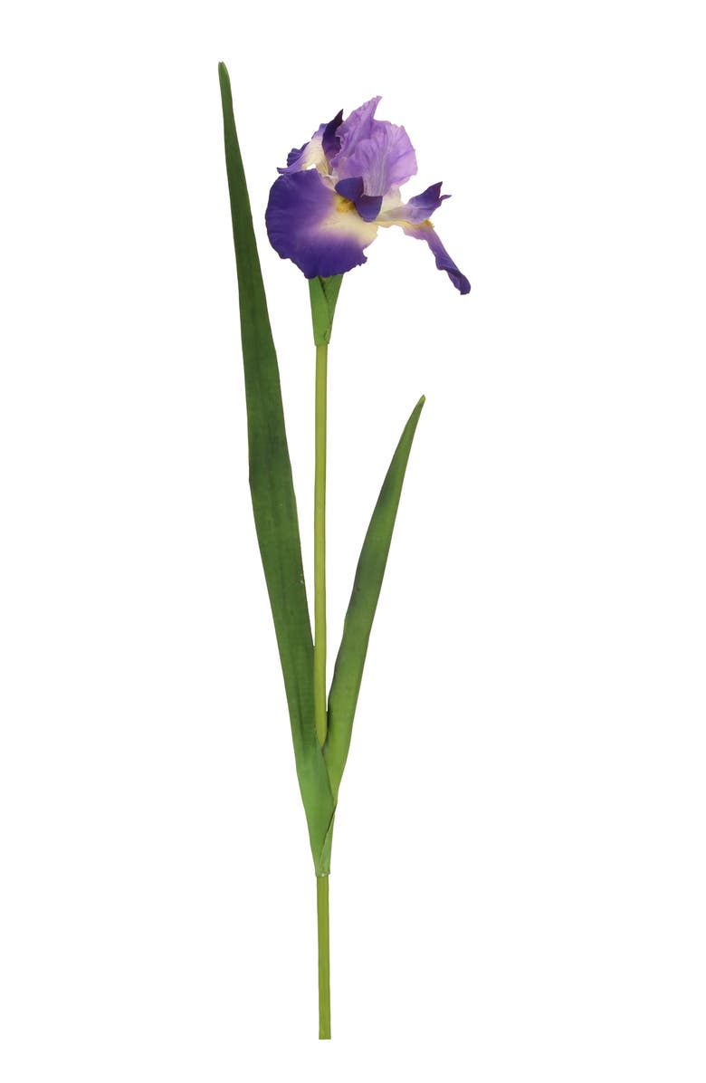 Mark Roberts Iris, Set of 12, Main, color, Dark Purple