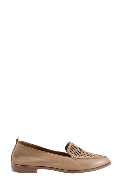 Bueno Blazey Pointed Toe Flat In Brown