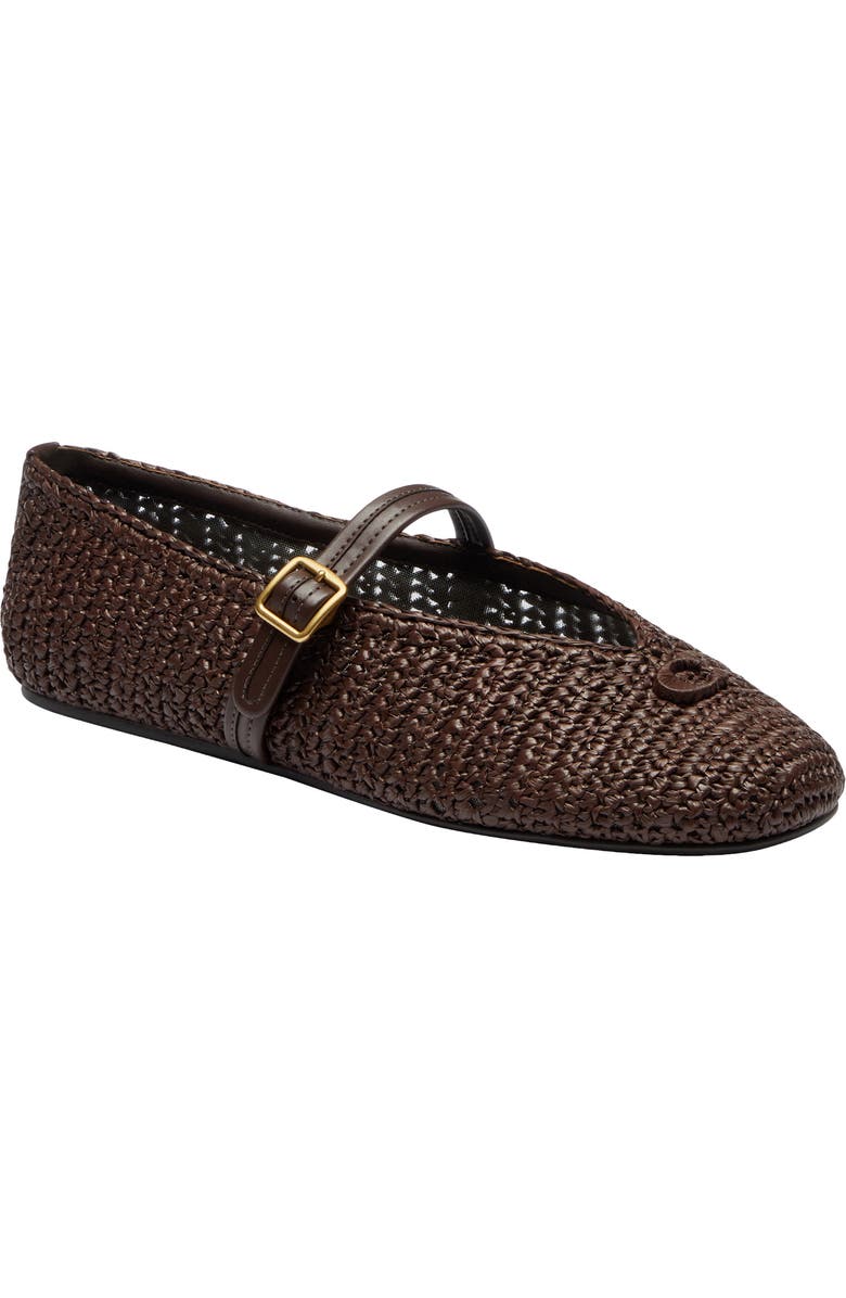 COACH Sculpted C Raffia Mary Jane Flat, Main, color, Maple
