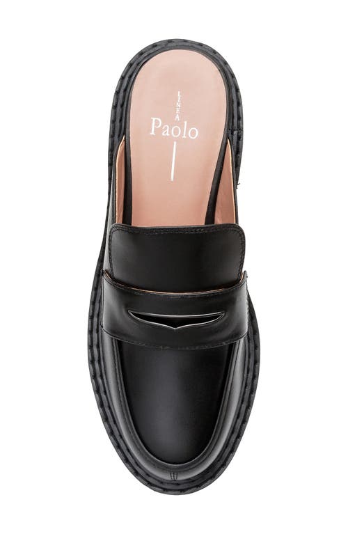 Linea Paolo Elie Platform Loafer In Black