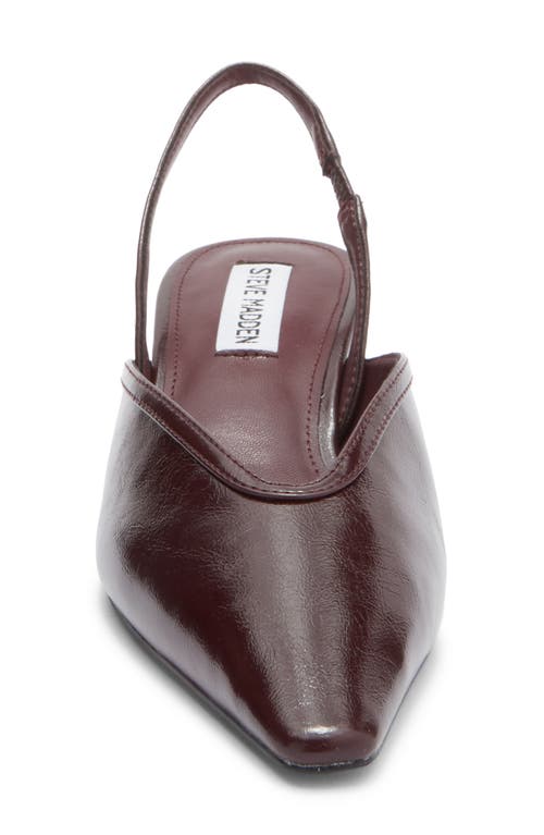 Steve Madden Haleigh Slingback Pump In Burgundy