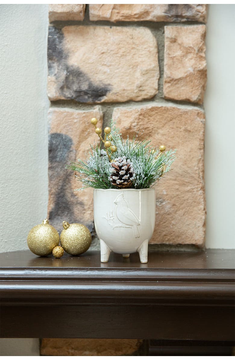 FLORA BUNDA Xmas Mix in 4.5" Cardinal Ceramic Footed Pot, Alternate, color, White