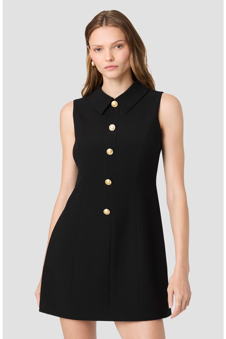 Azra Sleeveless Minidress, Alternate, color, 01-BLACK