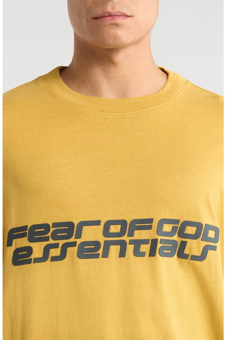 '90s Long Sleeve Logo Graphic T-Shirt, Alternate, color, CANYON