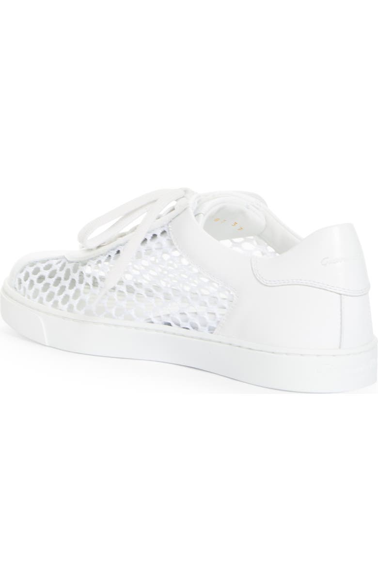 Gianvito Rossi Mesh Low Top Sneaker, Alternate, color,