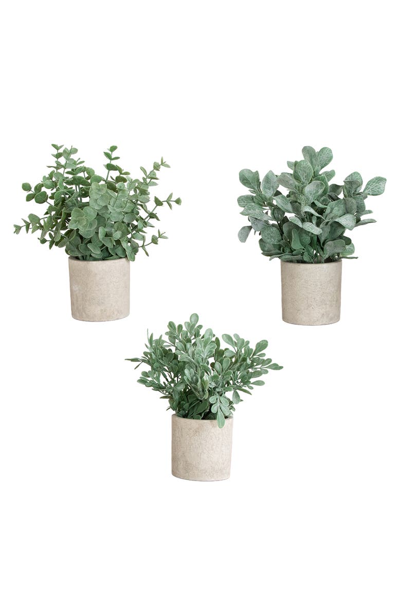 8-in Artificial Mixed Eucalyptus Plant in Decorative Planter - Set of 3, Main, color, Green