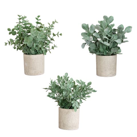 8-in Artificial Mixed Eucalyptus Plant in Decorative Planter - Set of 3