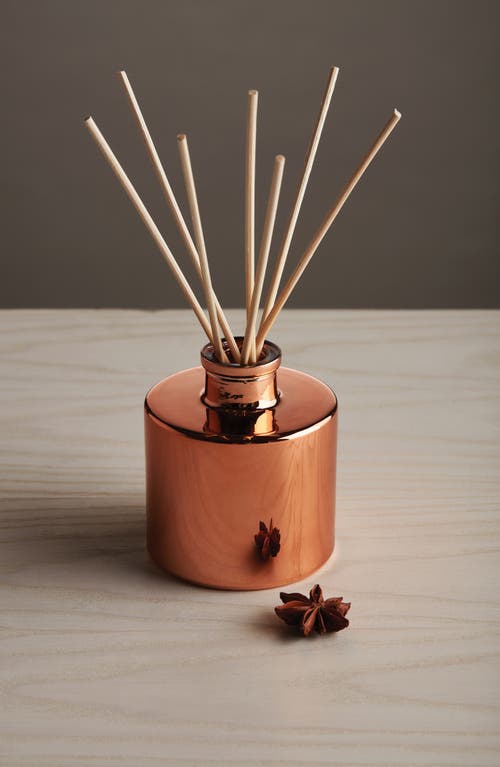 Thymes Simmered Cider Petite Reed Diffuser In Red