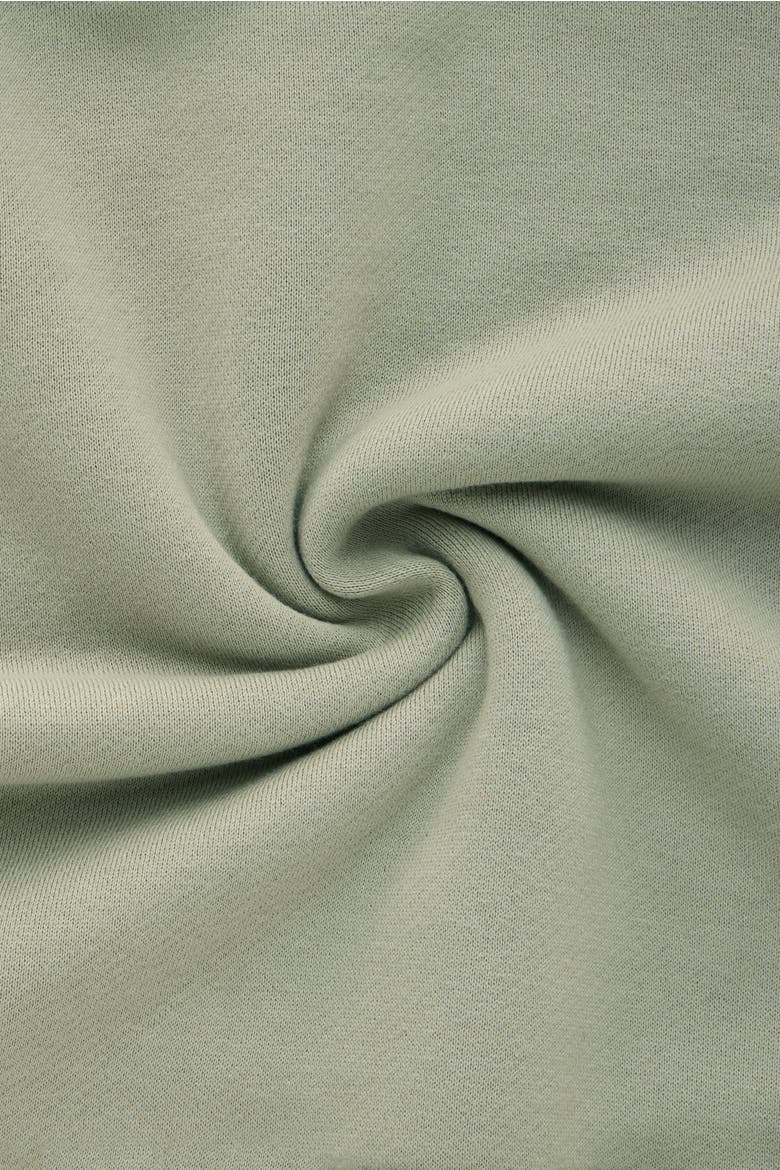 Cotton Fitted Hoodie, Alternate, color, Calliste Green